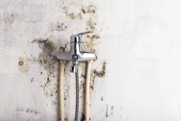 Best Post-Flood Mold Remediation in Tuttle, OK