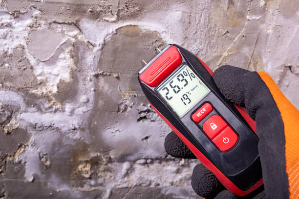 Best Residential Mold Remediation in Tuttle, OK