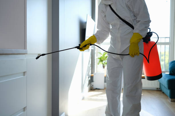 Best Residential Mold Remediation in Tuttle, OK