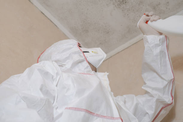 Best Mold Remediation for Specific Building Types in Tuttle, OK